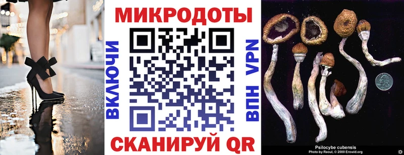Псилоцибиновые грибы ЛСД  Иланский 
